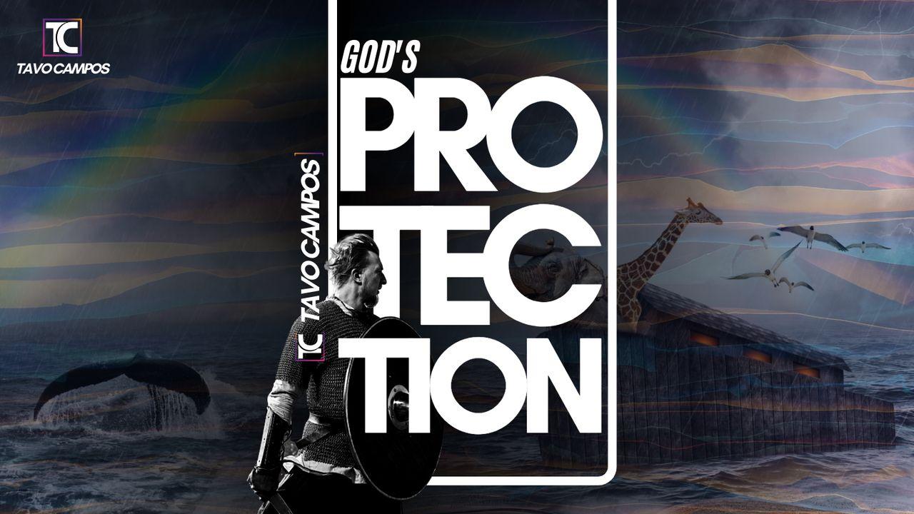 God's Protection 