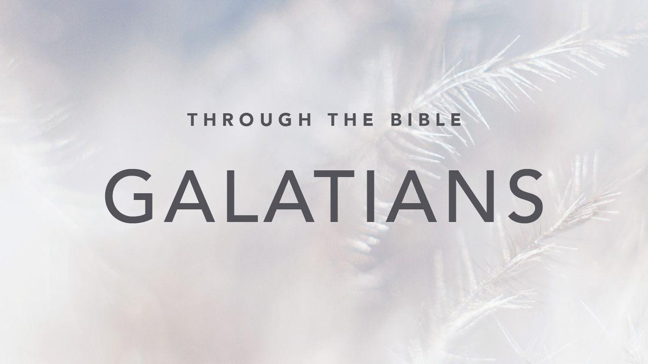 Through the Bible: Galatians
