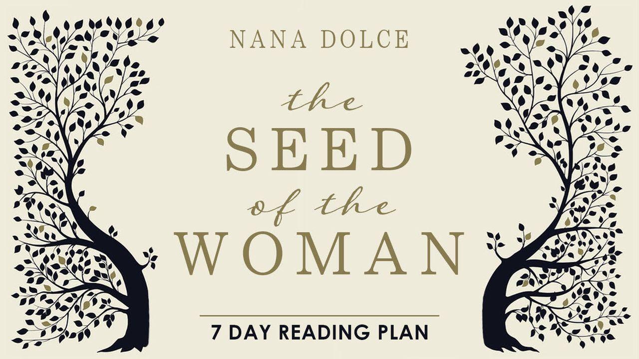 The Seed of the Woman: Narratives That Point to Jesus