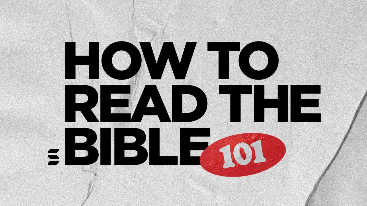 How to Read the Bible 101