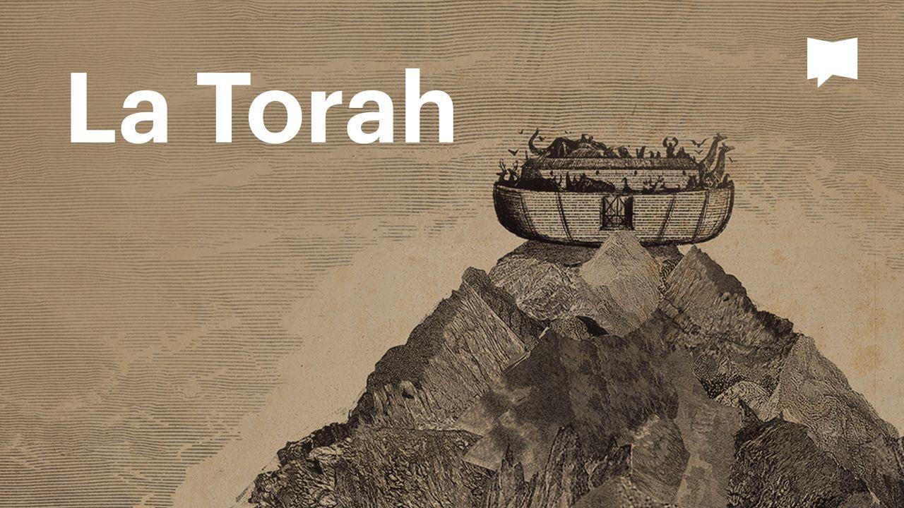 BibleProject | La Torah