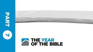 Year of the Bible: Part Seven of Twelve