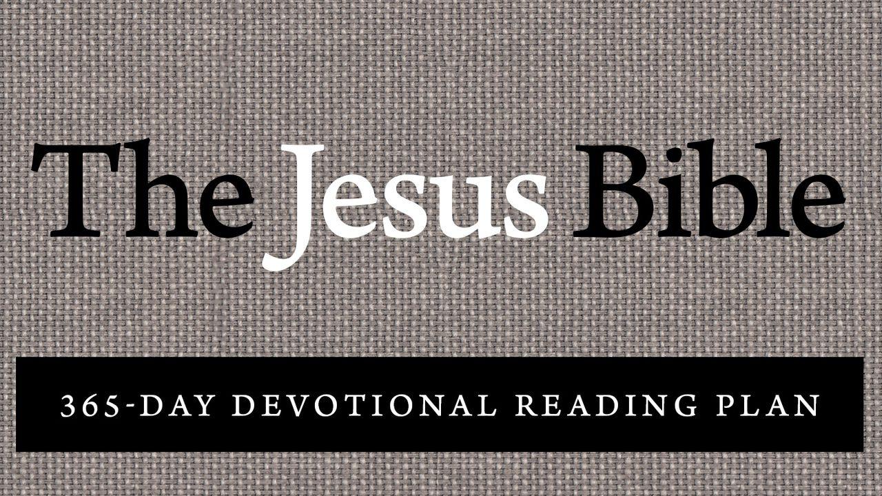 The Jesus Bible Reading Plan