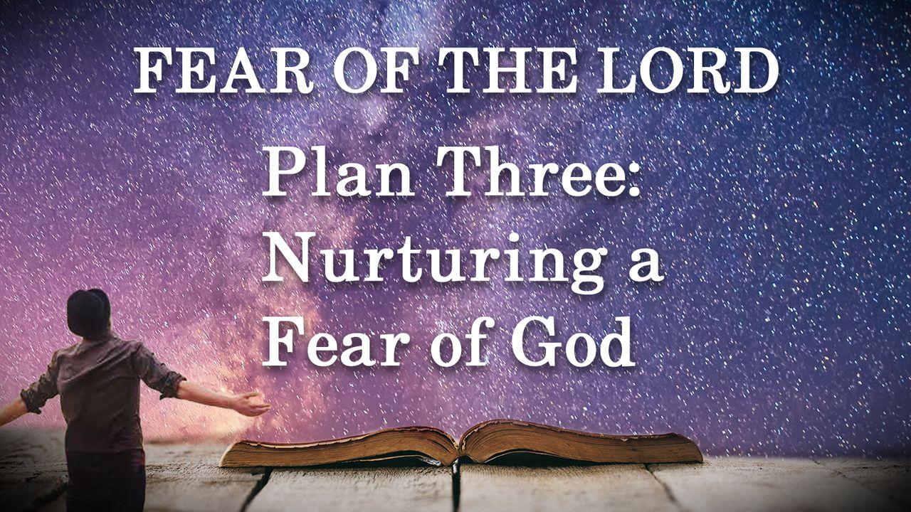 Plan Three: Nurturing a Fear of God