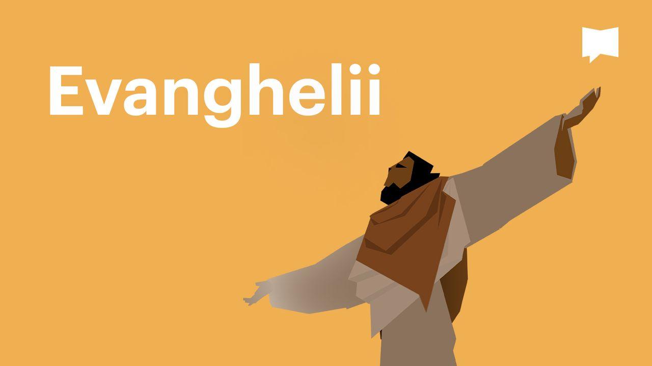 BibleProject | Evanghelii