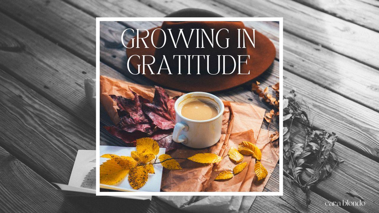 Growing in Gratitude