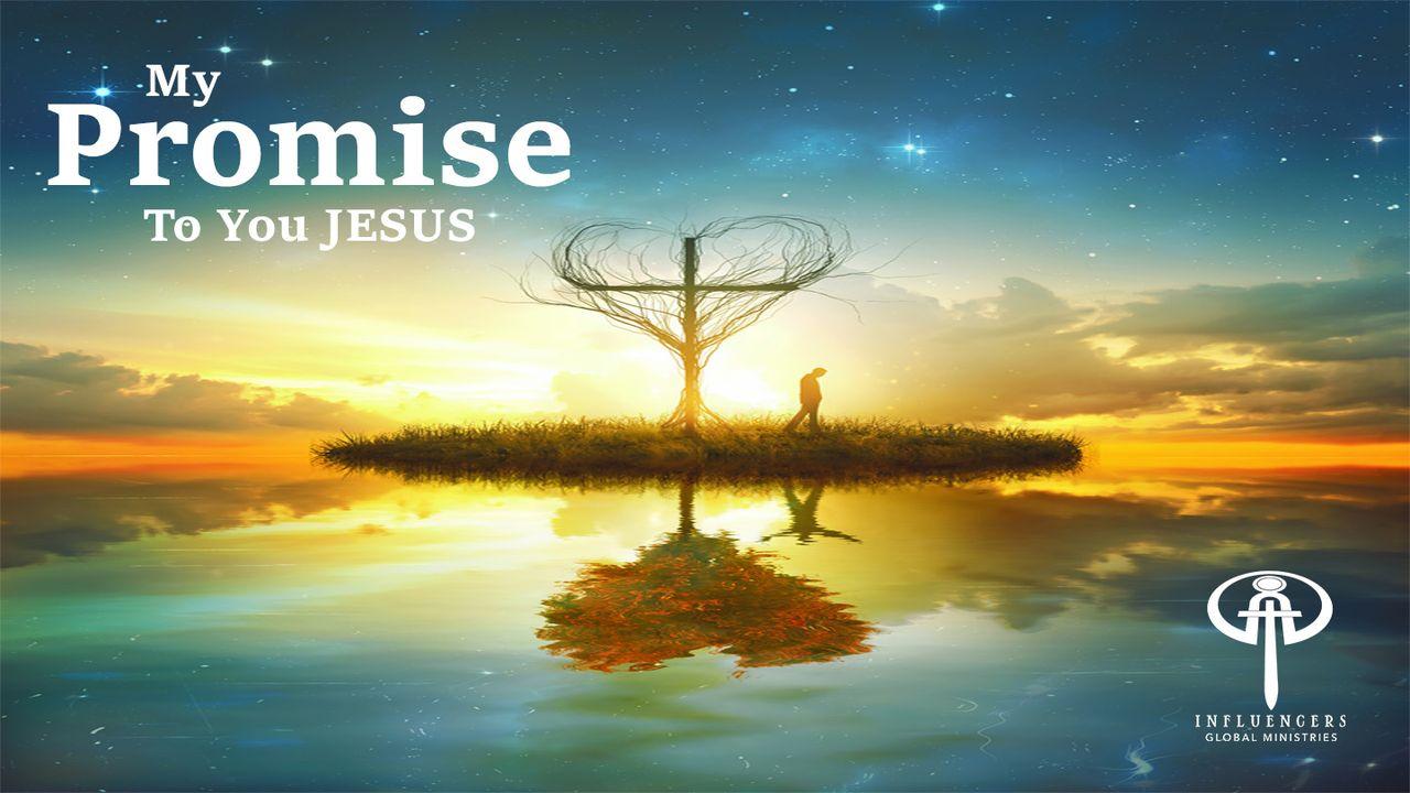 My Promise to You Jesus