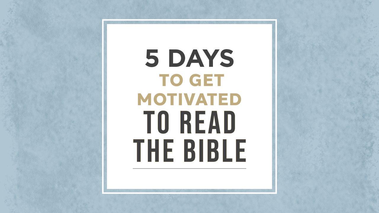 5 Days to Get Motivated to Read the Bible