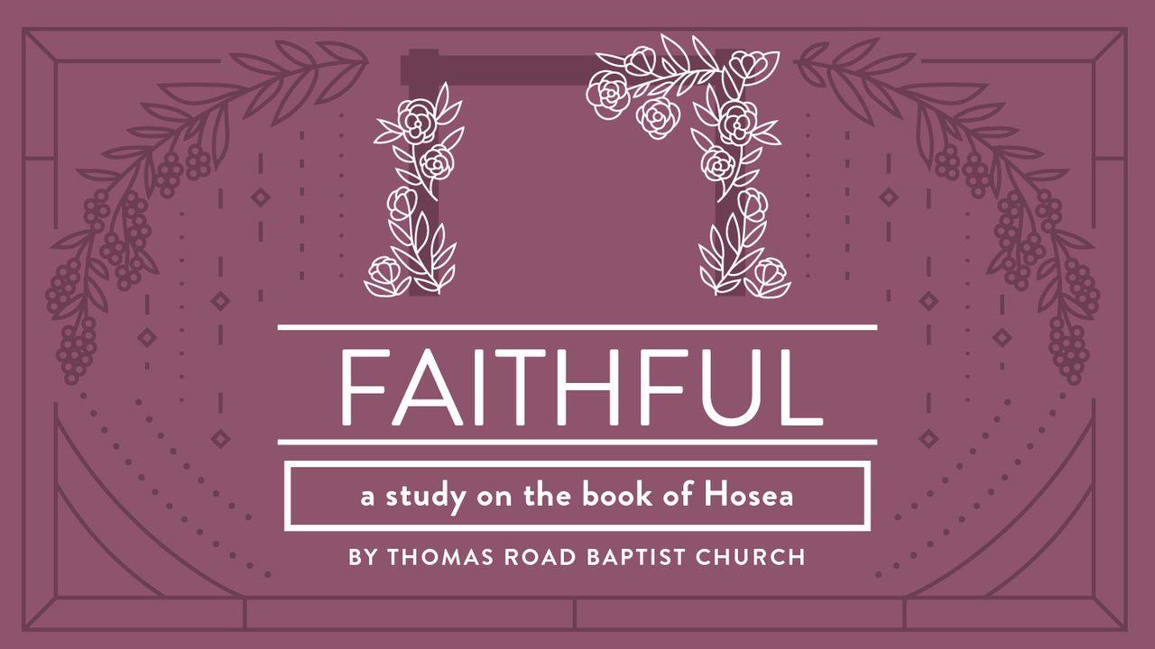 Faithful: A Study in Hosea