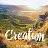 Creation: Devotions From Time Of Grace