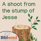 A Shoot From the Stump of Jesse