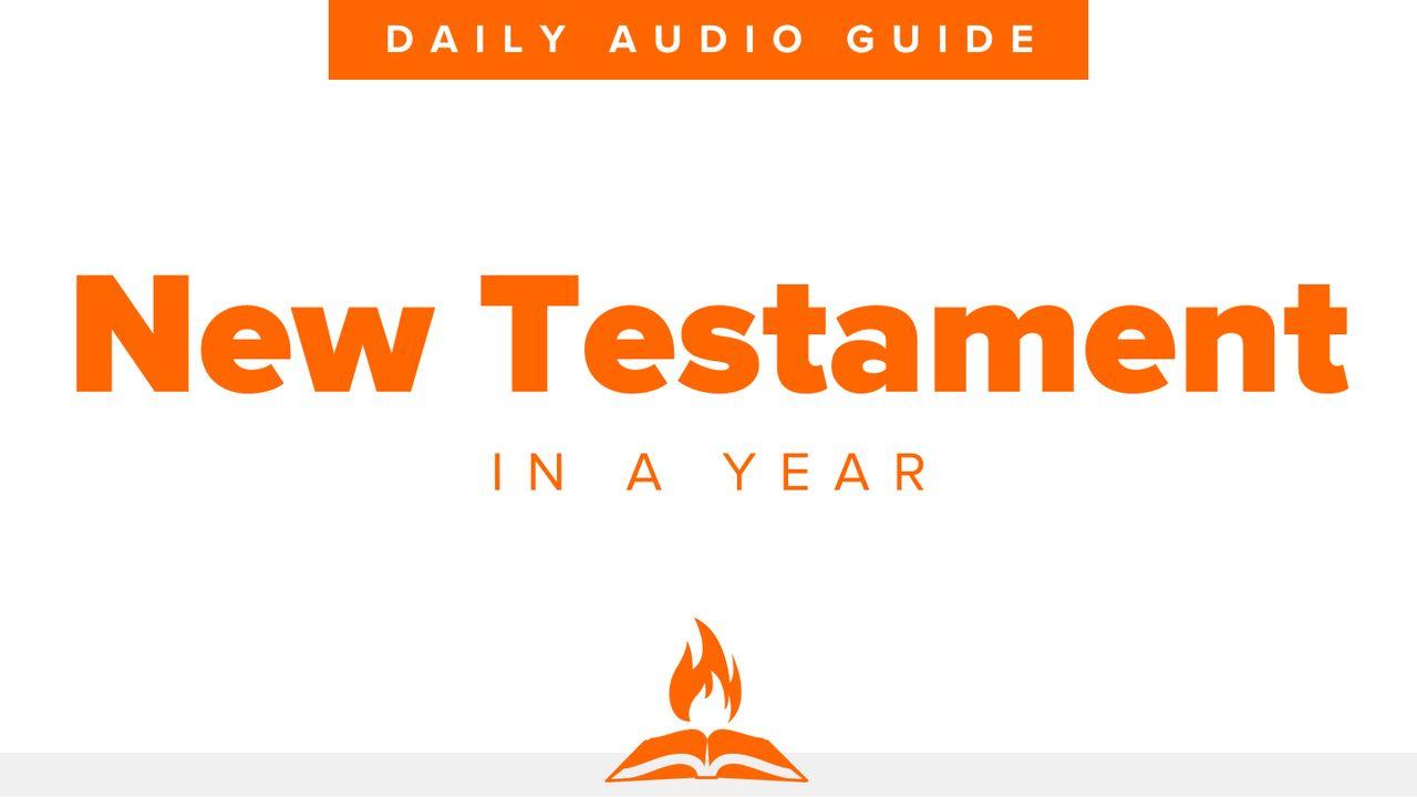 New Testament in a Year | Daily Audio Guide