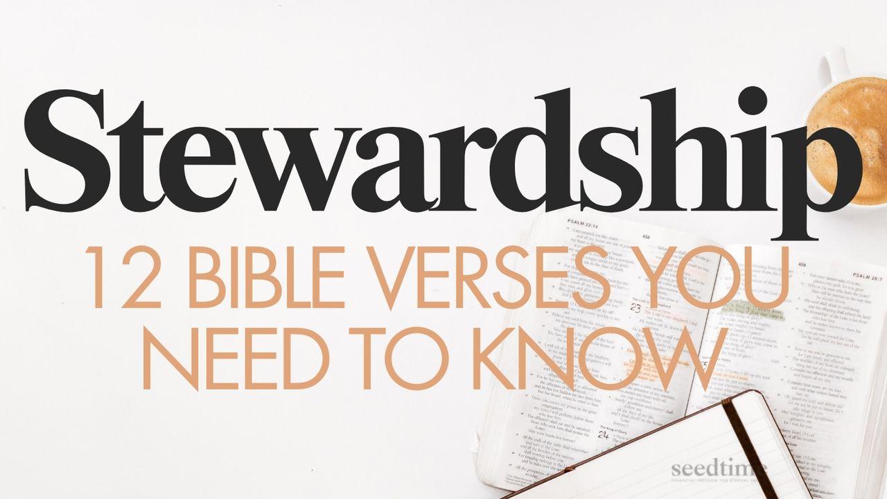 Stewardship: 12 Bible Verses You Need to Know