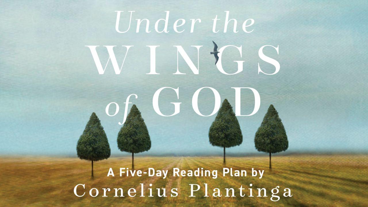 Under the Wings of God by Cornelius Plantinga