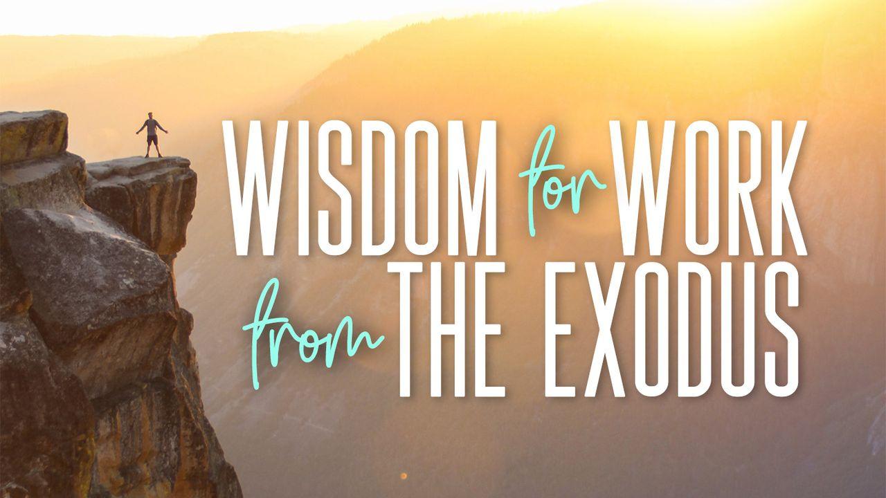 Wisdom for Work From the Exodus