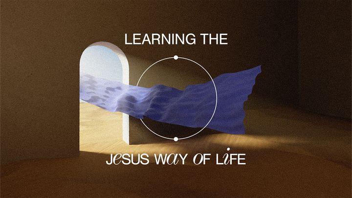 Learning the Jesus Way of Life