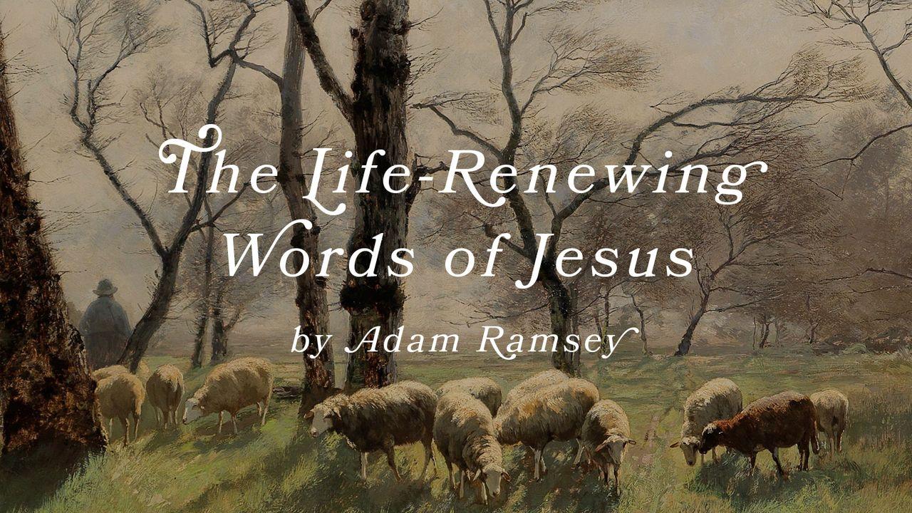 The Life-Renewing Words of Jesus by Adam Ramsey