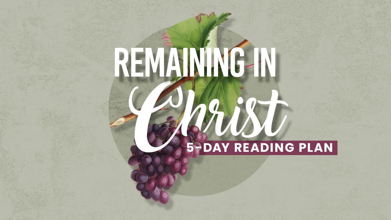 Remaining in Christ