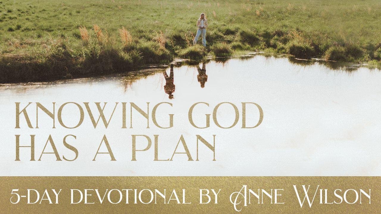Knowing God Has A Plan: 5-Day Devotional by Anne Wilson
