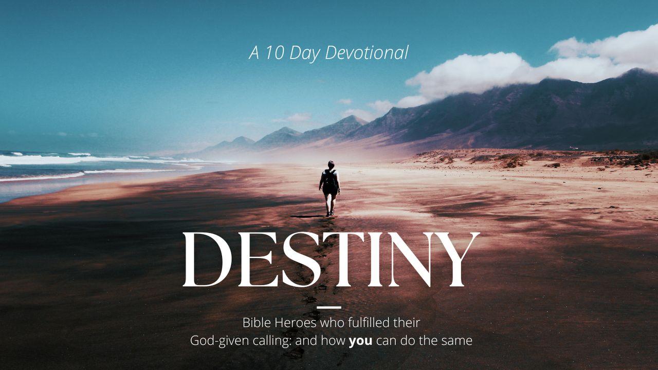 Bible Characters Who Fulfilled Their Destiny: And How You Can Do the Same
