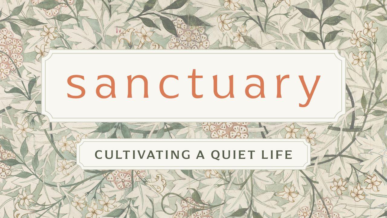 Sanctuary: Cultivating a Quiet Life