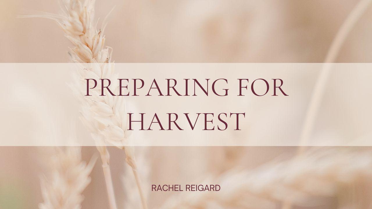 Preparing for Harvest