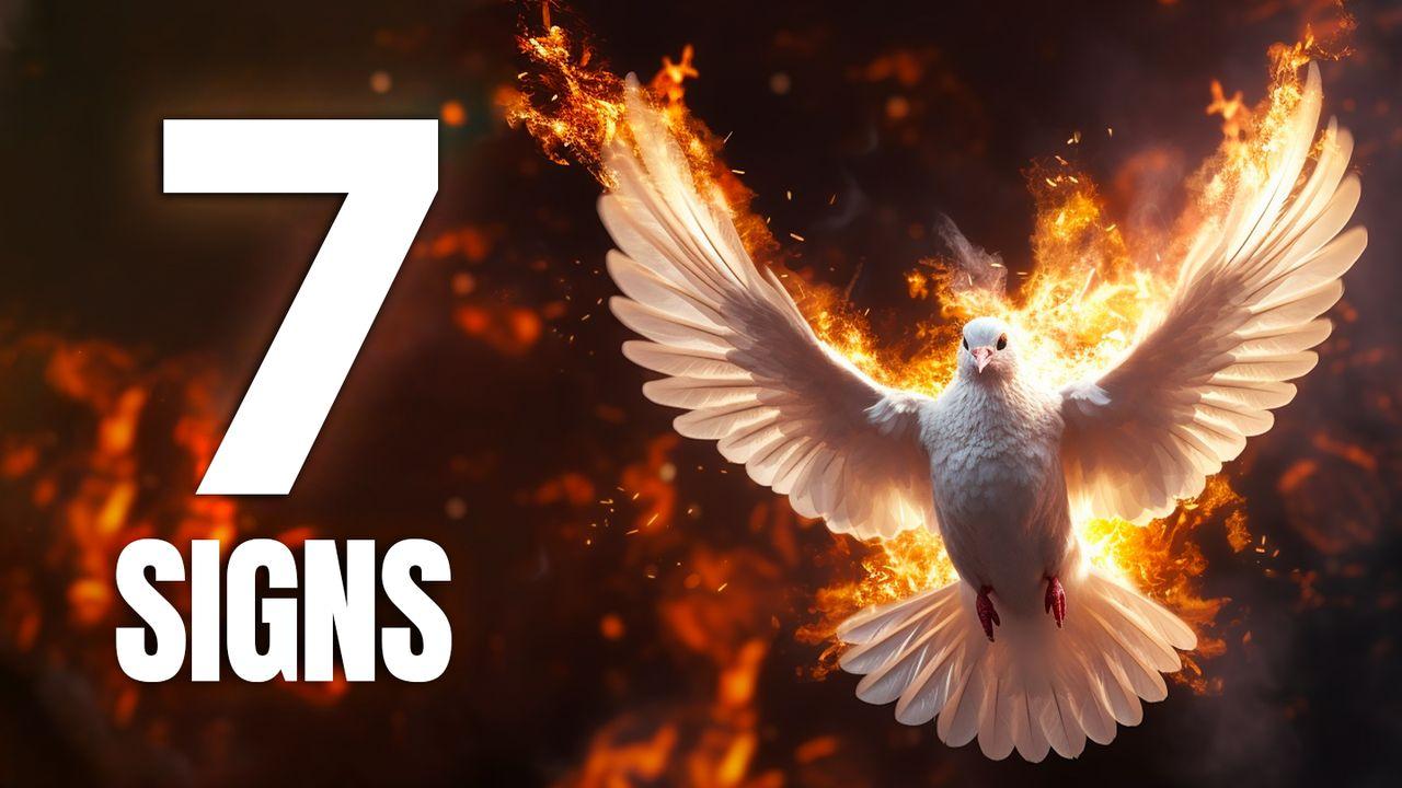 7 Biblical Signs Confirming the Presence of the Holy Spirit Within You