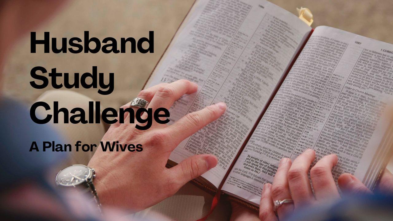 Husband Study Challenge: A Plan for Wives