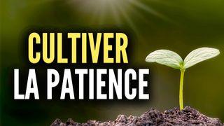 Cultiver la patience