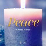 [The Words of Advent] PEACE