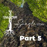 One Single Story Bible Themes Part 5