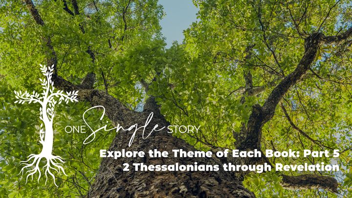 One Single Story Bible Themes Part 5