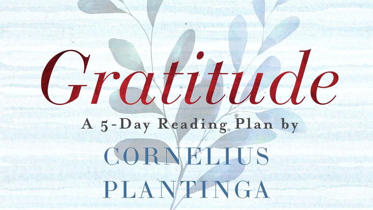 Gratitude by Cornelius Plantinga