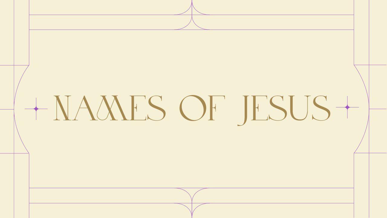 The Names of Jesus: A Holy Week Devotional