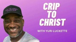 Crip to Christ Video Bible Plan