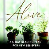 Alive: Grow in Your Relationship With Jesus