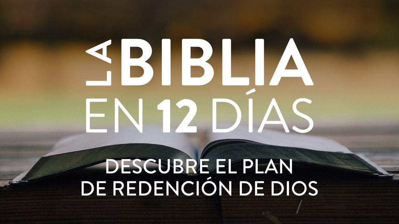 La Biblia en 12 Días: Descubre El Plan de Redención de Dios