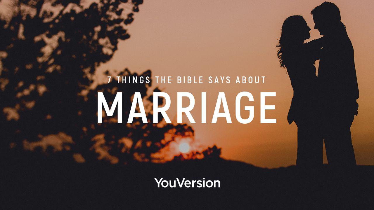 7 вещей, которые Библия говорит о браке