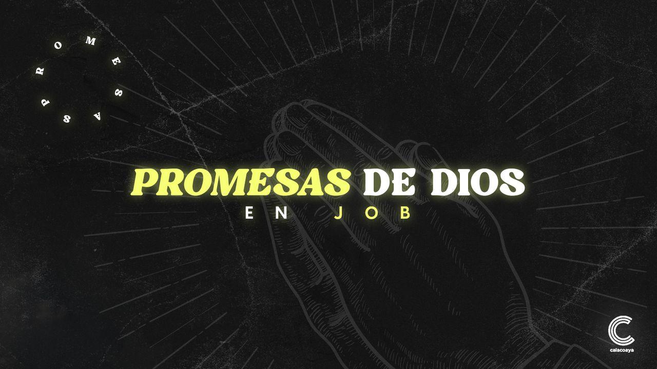 Promesas De Dios en Job
