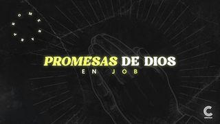 Promesas De Dios en Job