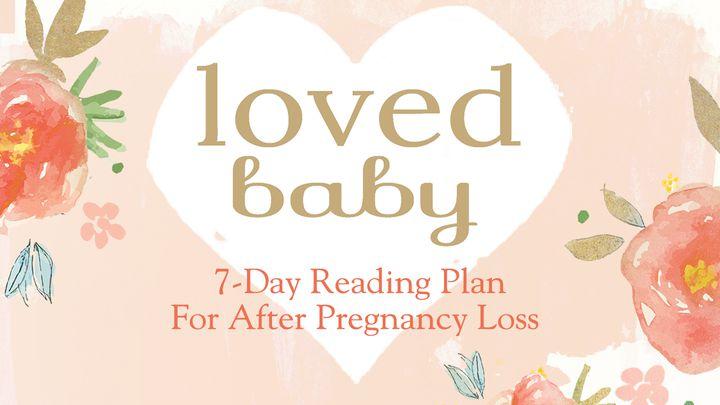 Amado Bebé: un plan de 7 días, después de la pérdida de un embarazo 